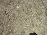 IMG_4450.JPG