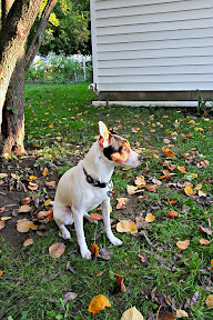 2012-10-03_17-58-30_HDR.jpg