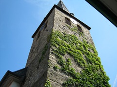 IMG_0260 IMG_0260