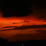 IMG_3563.JPG