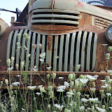 "Truck &amp; Flowers" - copyright David Thompson