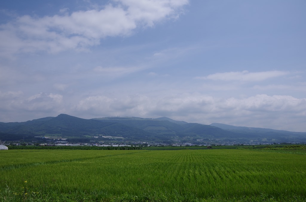 [IMGP65593.jpg]