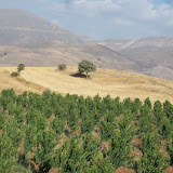 Turquie