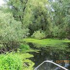 IMG_3450.JPG
