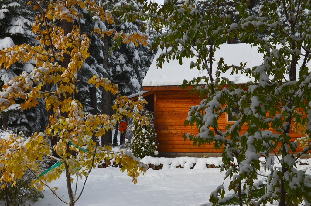 [First-snow_0147.jpg]