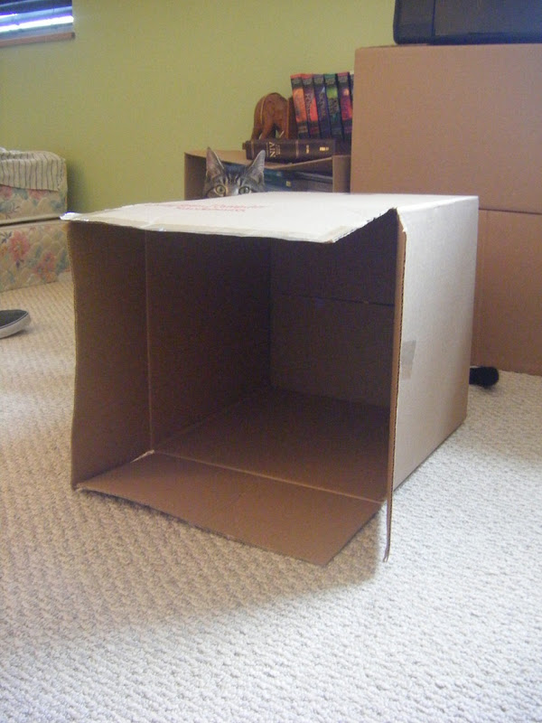 Cardboard Storage Cubes | allonsykimberly.com Cardboard Storage Cubes | allonsykimberly.com