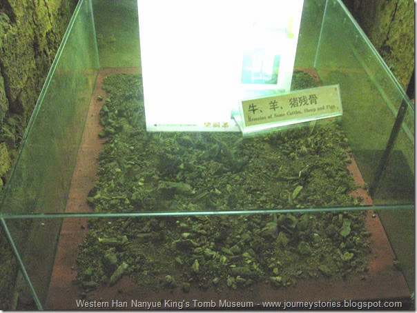 Museum of Nan yue king 047