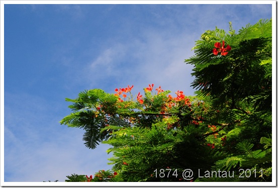 DSC_0593 DSC_0593