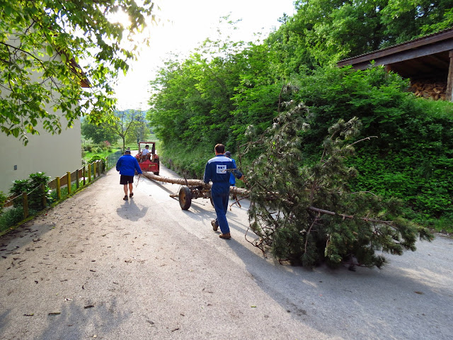 2014-Mlaj-in-kresovanje-24.JPG