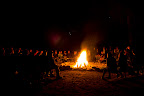 IMG_2381.jpg