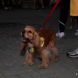 Pet Express Doggie Run 2012 Philippines. Jpg (9).JPG