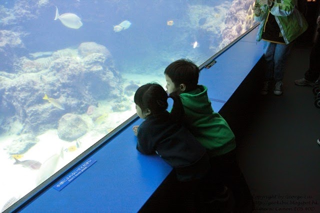 IMG_3009 IMG_3009