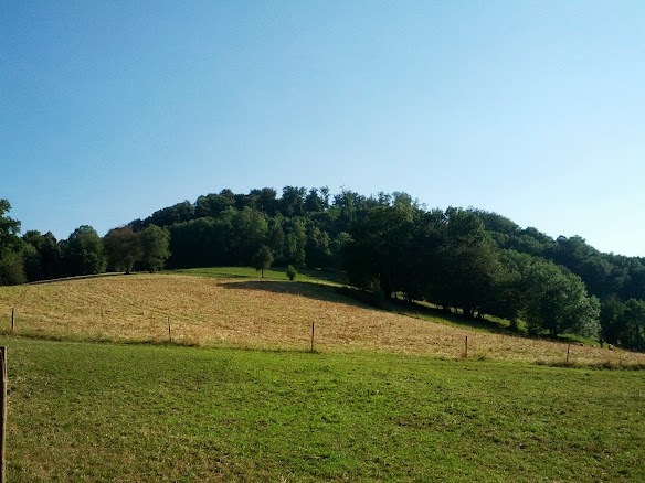 IMG_20130815_180810.jpg