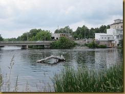 IMG_1592 IMG_1592