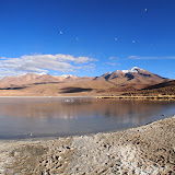 P6053867.JPG