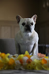 I think I hear Martha coming!