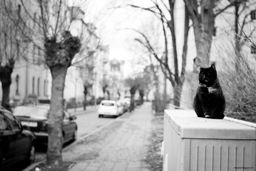 IMG_20120308_142848_1533