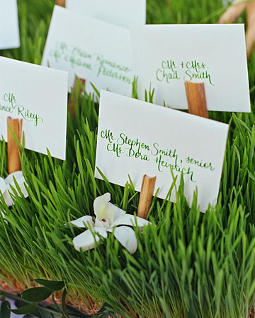 From the wedding of: Candice and Scott. (http://www.marthastewartweddings.com/photogallery/candice-and-scott#slide_12) From the wedding of: Candice and Scott. (http://www.marthastewartweddings.com/photogallery/candice-and-scott#slide_12)
