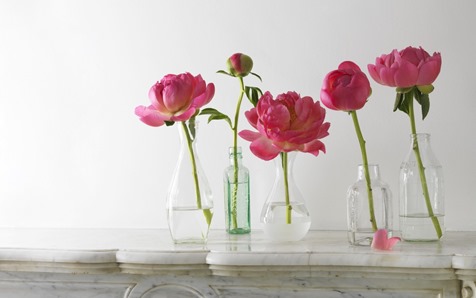 [595947120%255B3%255D.jpg]