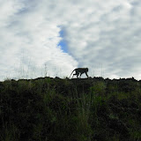 foto by Sita