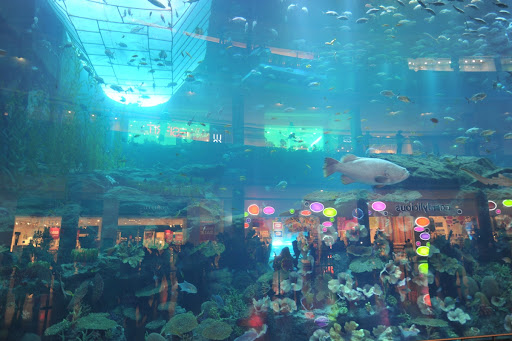 Dubai+mall+inside+map