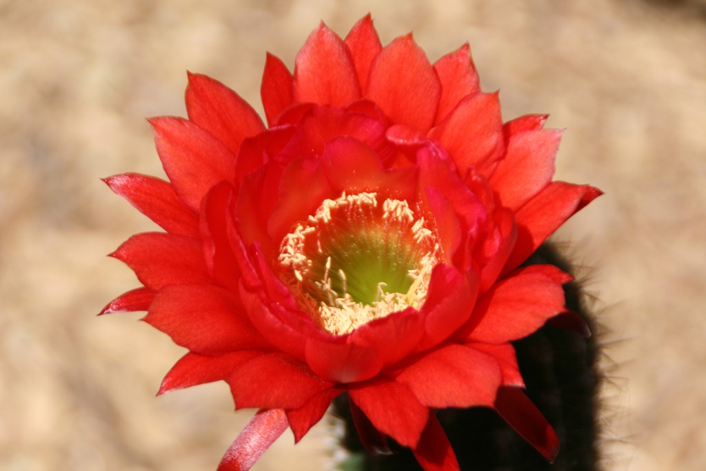 [IMG_7107%255B4%255D.jpg]