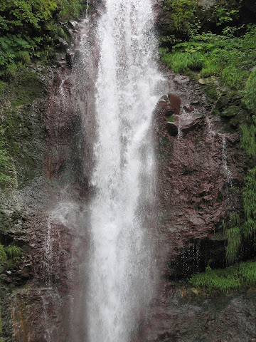 仙人滝