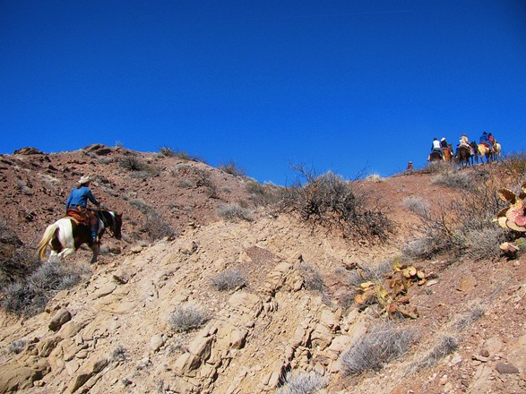 [IMG_9195%255B5%255D.jpg]