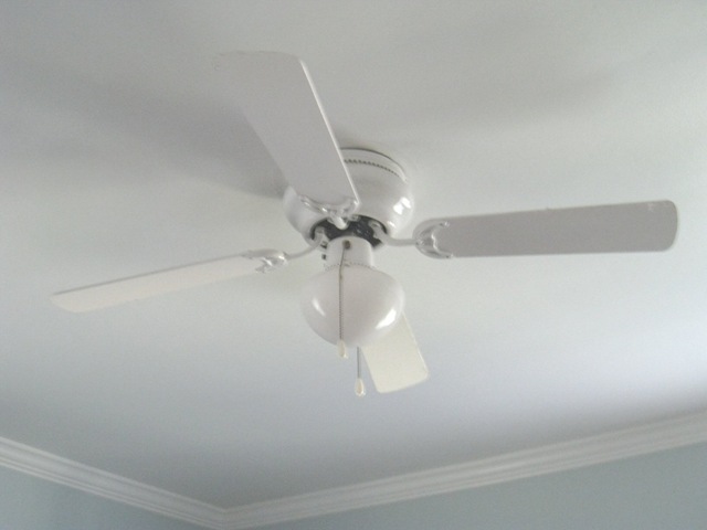 [fan_before_athomewithh%255B9%255D.jpg]