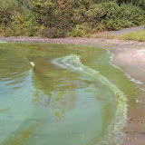IMAG0026.jpg