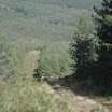 DSC03646.JPG