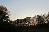IMG_0093.JPG