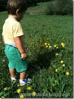 IMG_1486 IMG_1486