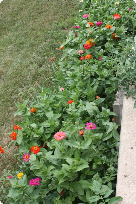 IMG_7876 IMG_7876