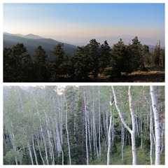mountain top diptic mountain top diptic