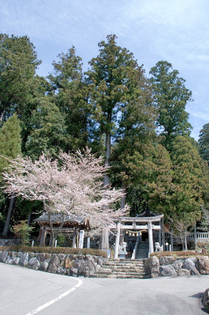 高賀神社