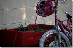bikewagon