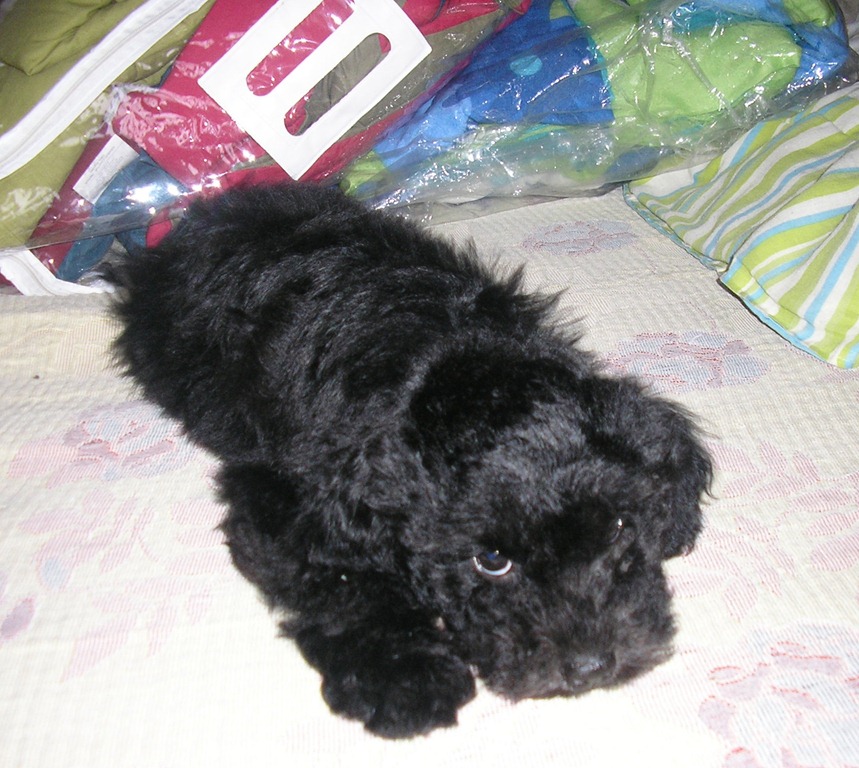 [Bill_5%255B3%255D.jpg]