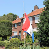 IMG_9981.jpg