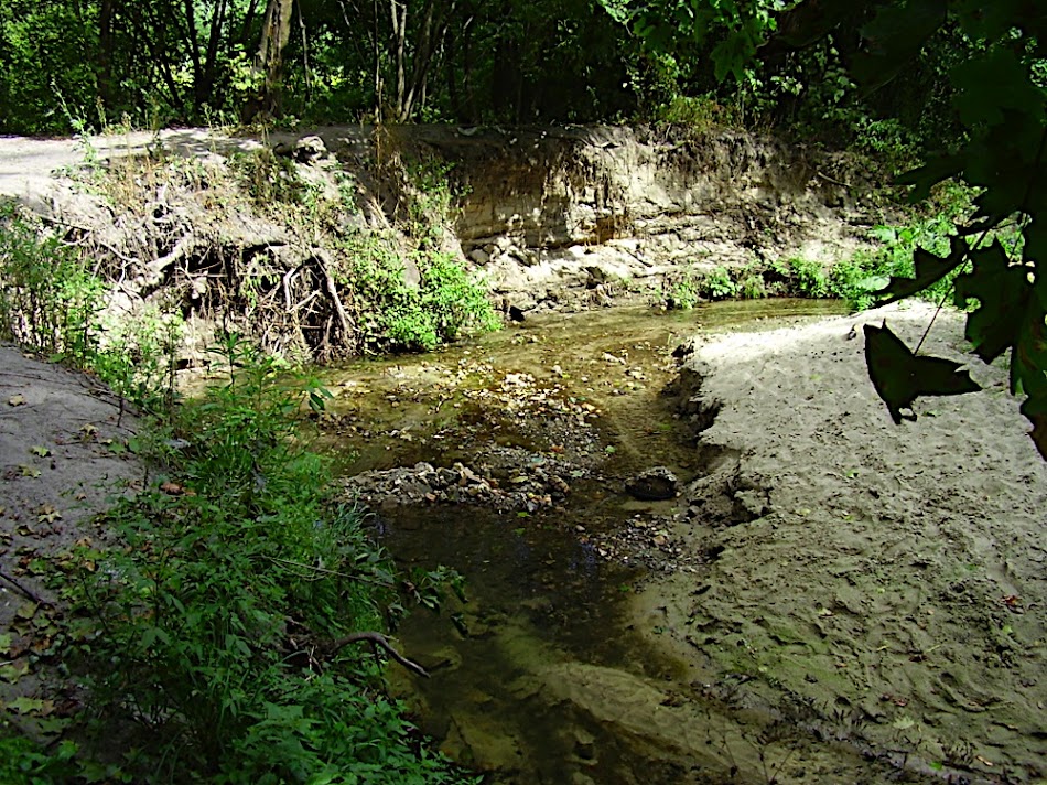 P8260167.JPG