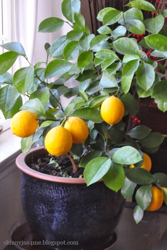 lemons lemons