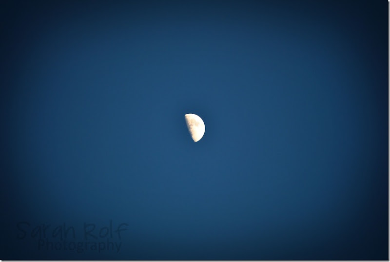 half-moon