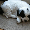 DSCN0167.JPG