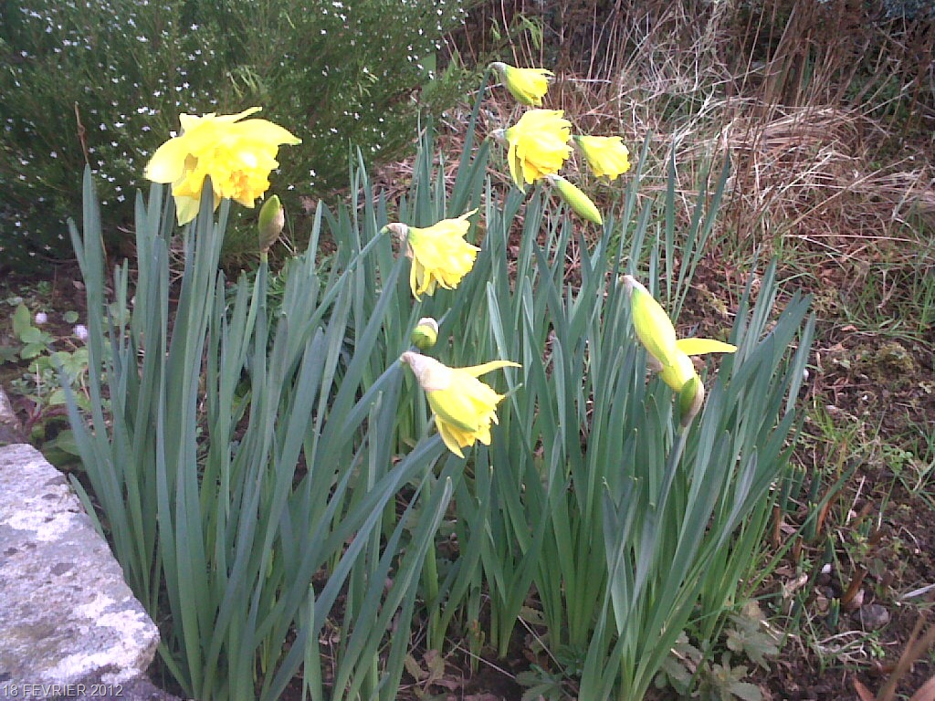 [IMG00134-20120218-174510.jpg]