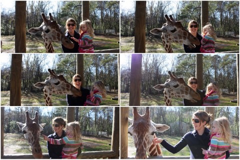 [Zoo4%255B3%255D.jpg]