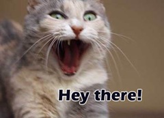 funny_538