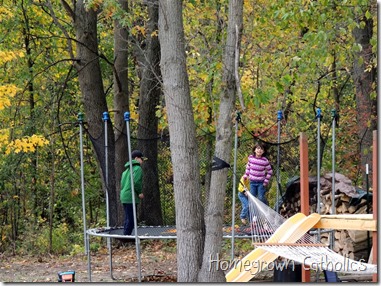 Trampoline Fun