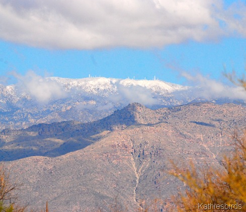 6. mt lemmon-kab