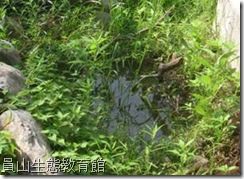 雜草! 雜草! 雜草! 雜草!