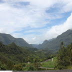 IMG_3184.JPG